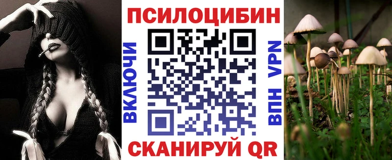 Галлюциногенные грибы Magic Shrooms  купить наркотик  Зея 